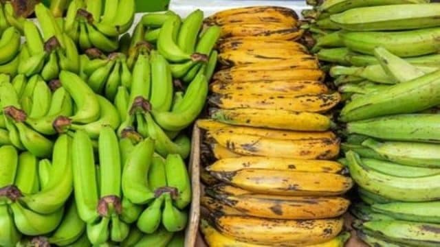 ¿Es cierto que los plátanos son radioactivos y si comes demasiados pueden matarte?
