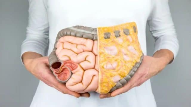 Las almendras son las mejores aliadas del intestino: así favorecen la salud de tu segundo cerebro