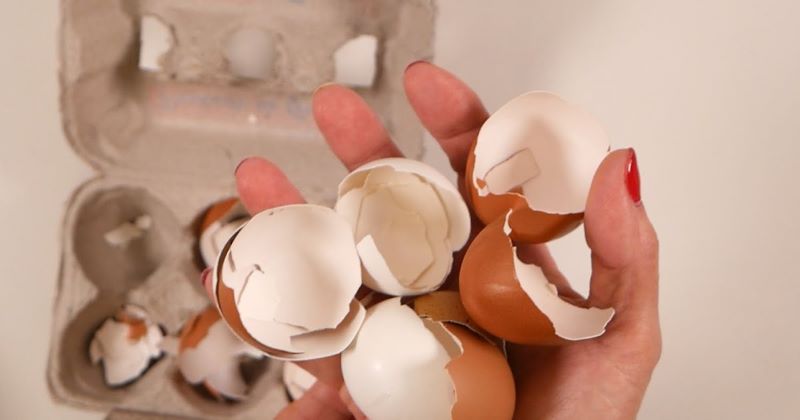 ¿Comes muchos huevos cada semana? Conozca algunas de las cosas que puede hacer con la cascara