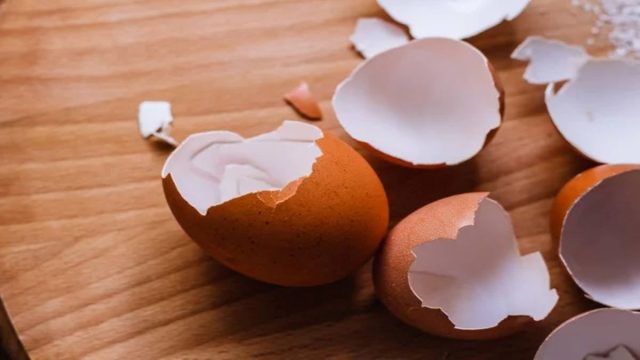 ¿Comes muchos huevos cada semana? Conozca algunas de las cosas que puede hacer con la cascara