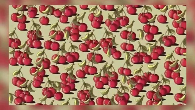 Alerta: Desafío visual - Aquellos que encuentran el tomate escondido entre las cerezas en menos de nueve segundos son realmente inteligentes