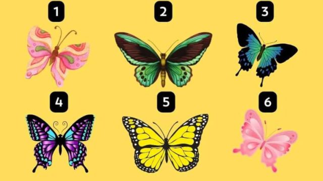 Prueba de personalidad: la elección de una mariposa revelará cómo te ven quienes te rodean